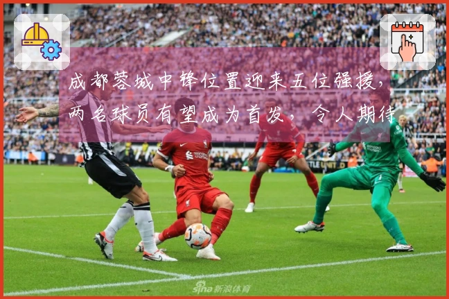 成都蓉城中锋位置迎来五位强援，两名球员有望成为首发，令人期待